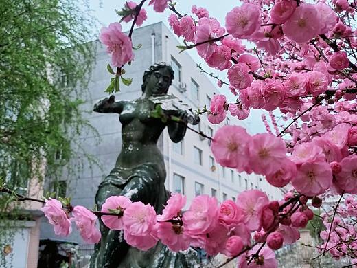 春天的凑曲（个人主页-ZNjg0NTcwMTI=） - 人像摄影 - 站酷设计师慕凡平世界原创素材 - 站酷ZCOOL