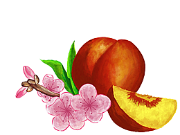 蜜桃包装（个人练习）