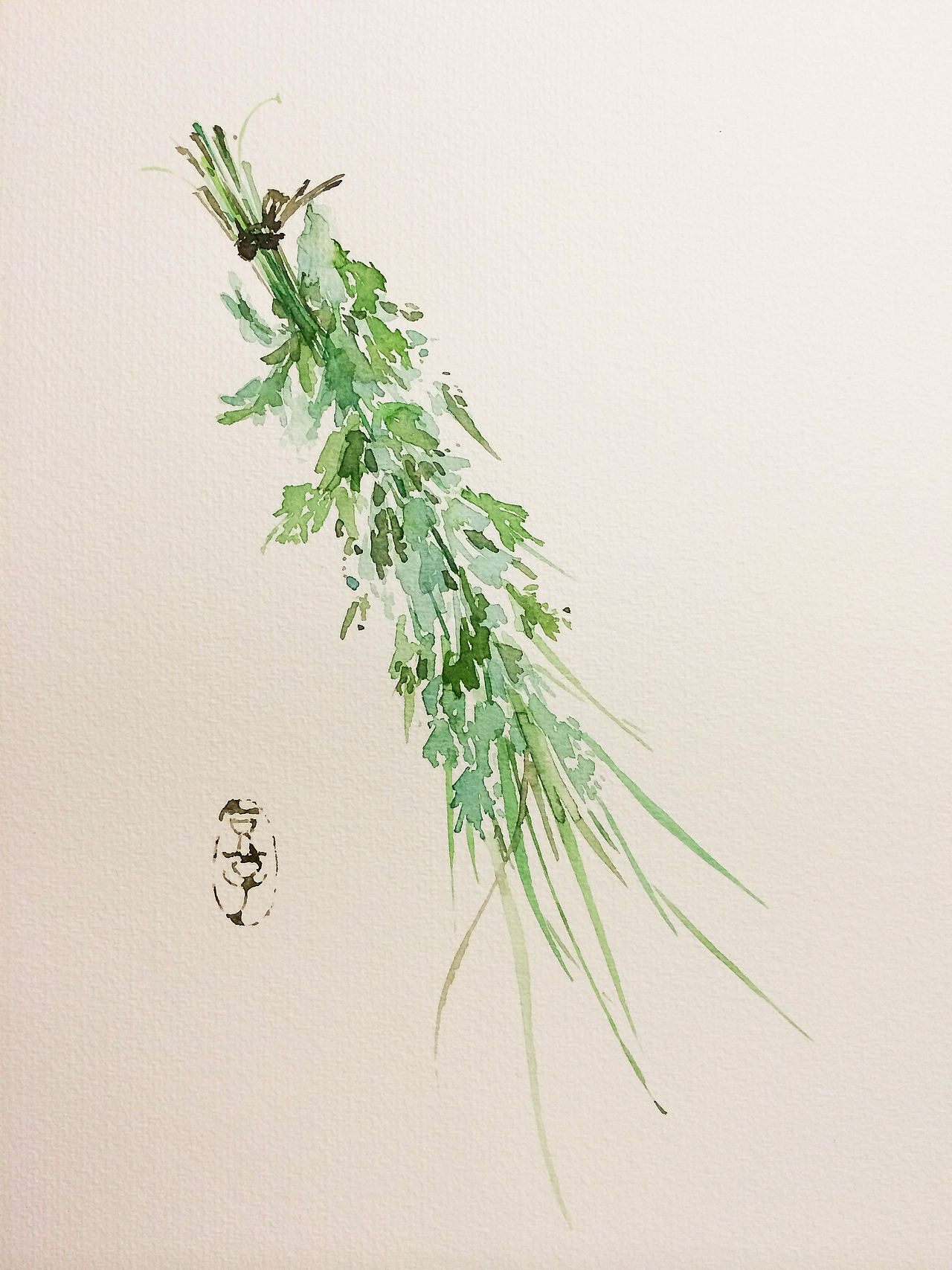 水彩插画——菖蒲艾叶