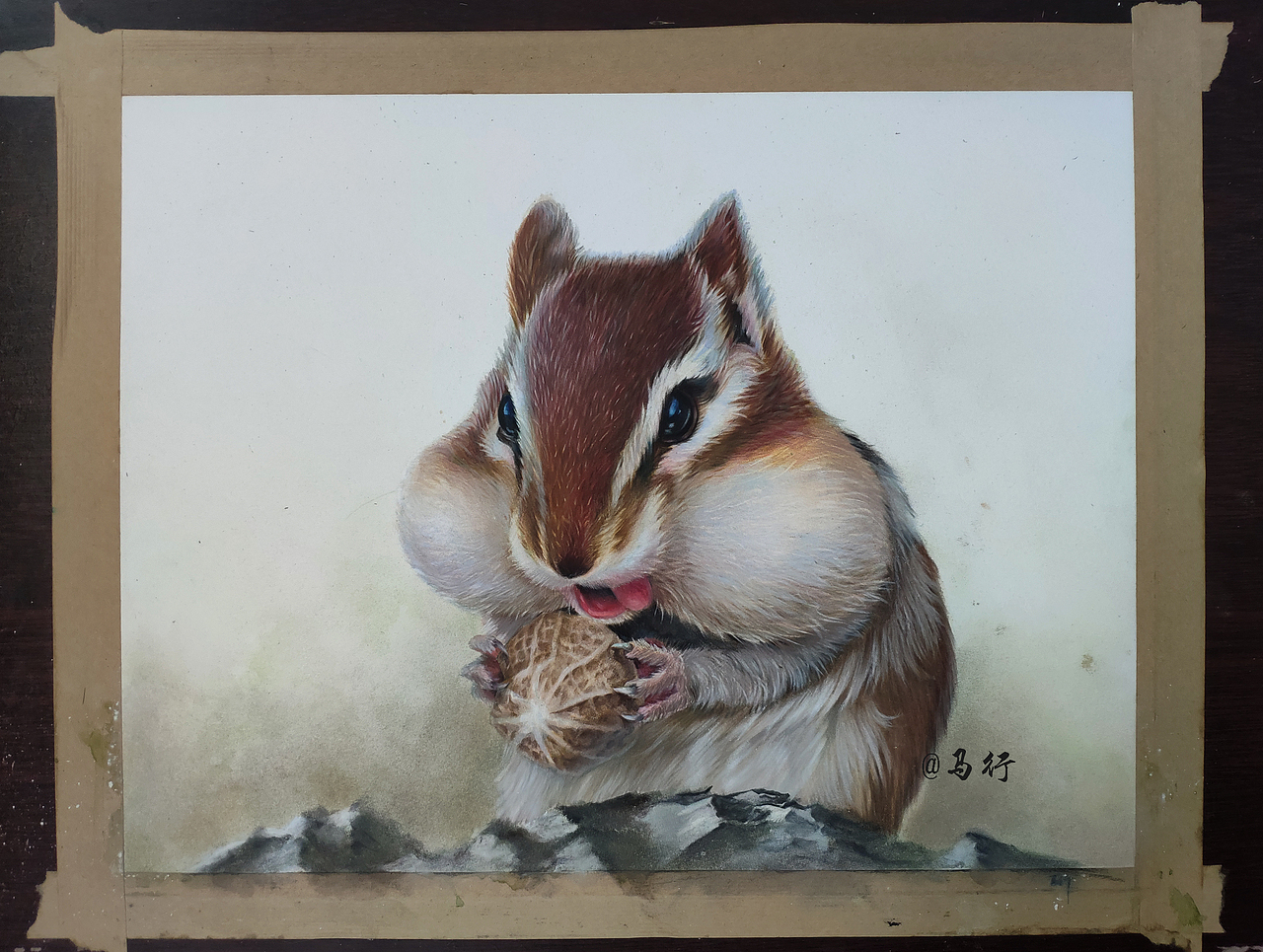 水彩彩铅花栗鼠