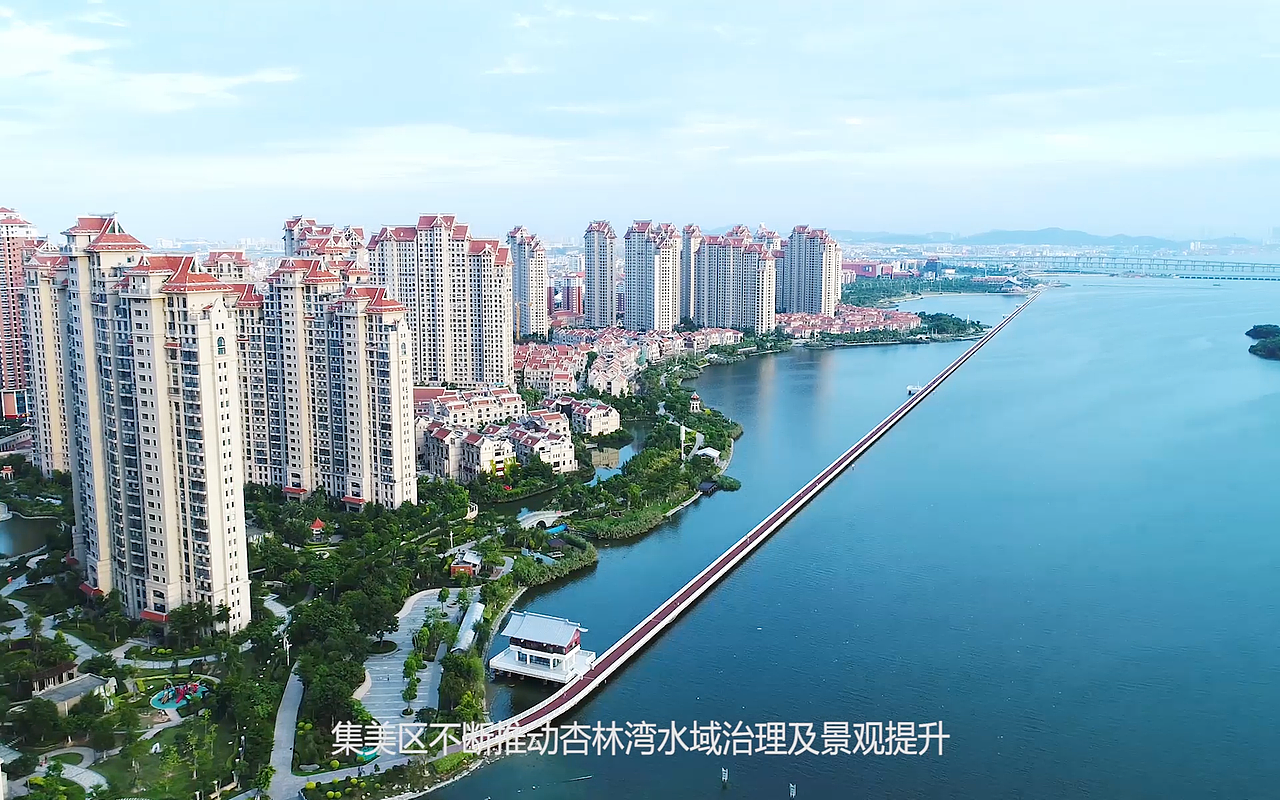 杏林湾极美一天