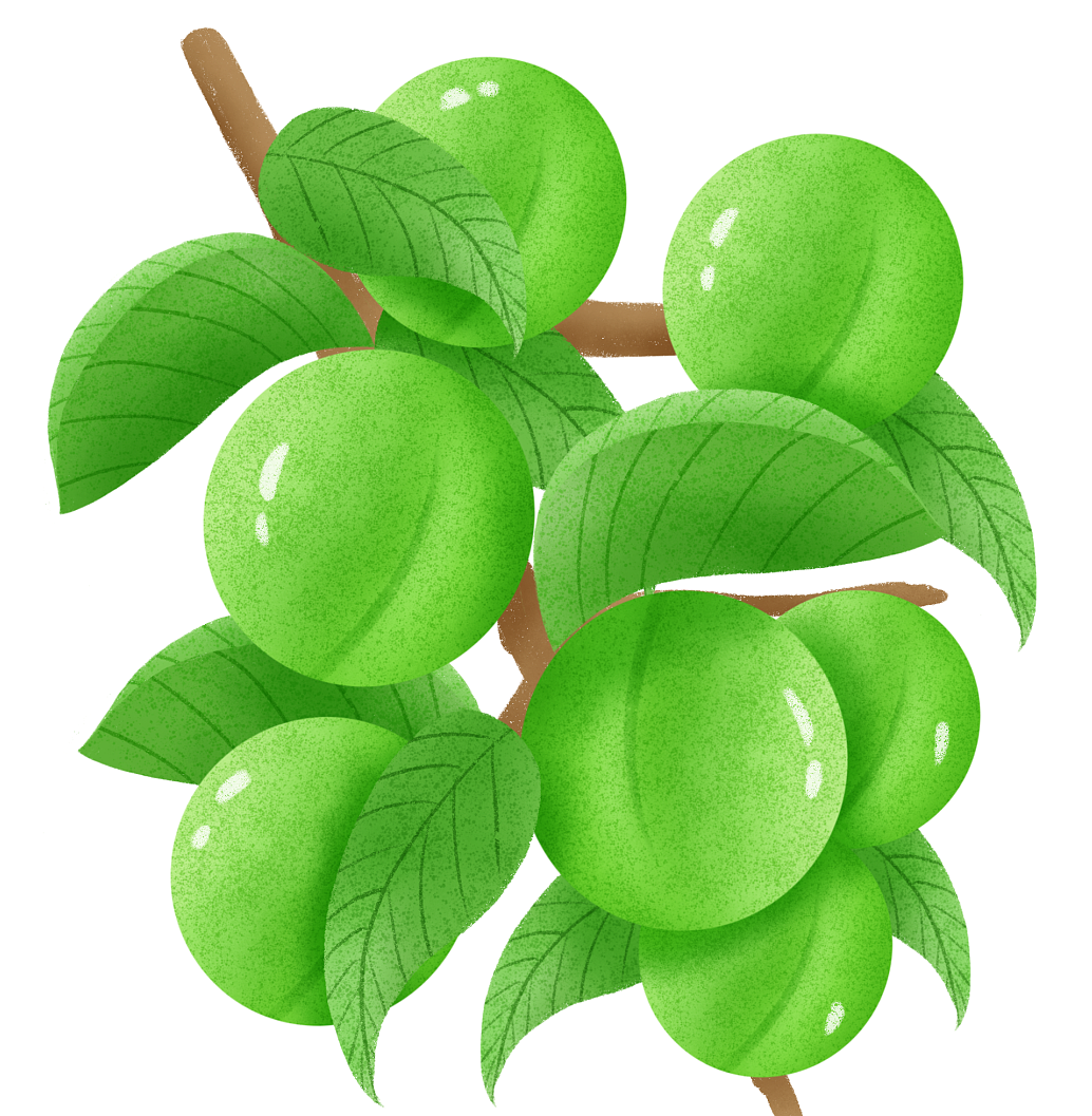 芒种青梅小满时令水果梅子元素