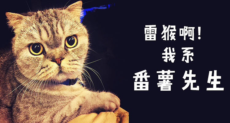 微信表情:番薯先生