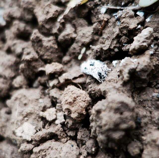 生活小角落-随拍（SONY-DSC-QX100）（图ZMjMzMjg5NDA=） - 其他摄影 - 站酷设计师gemini111126原创素材 - 站酷ZCOOL