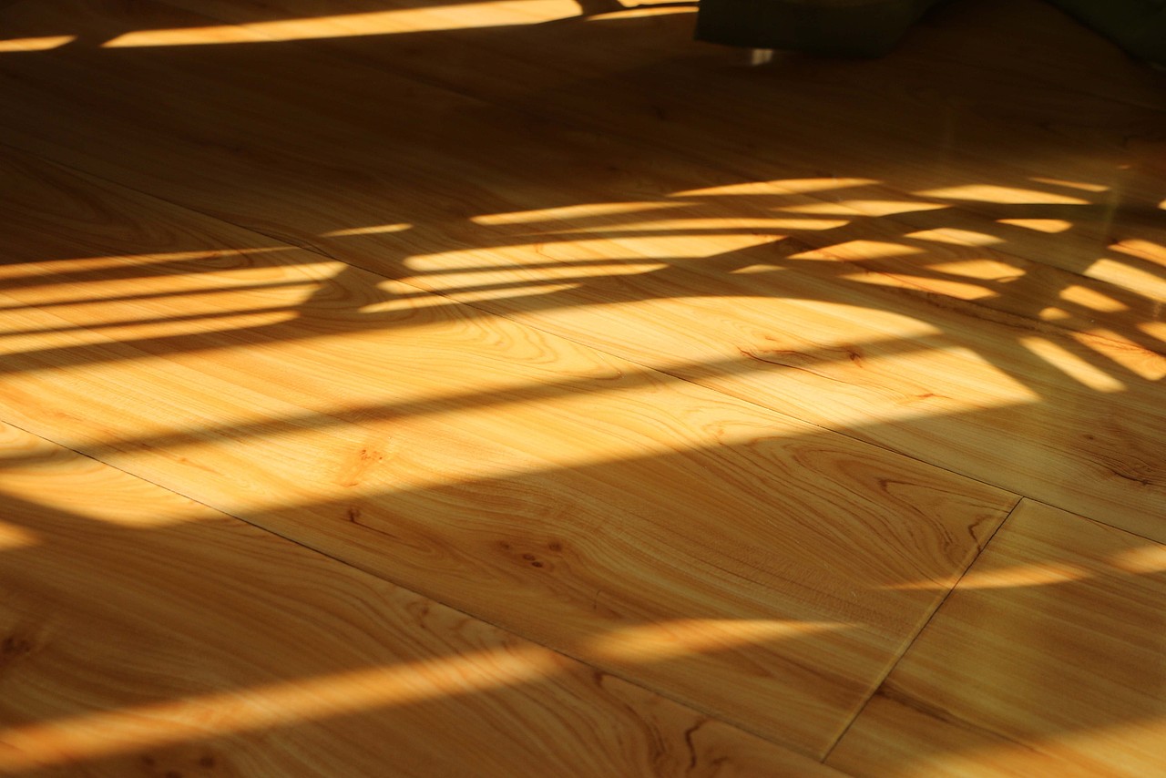 【新锐】欲占有——张一