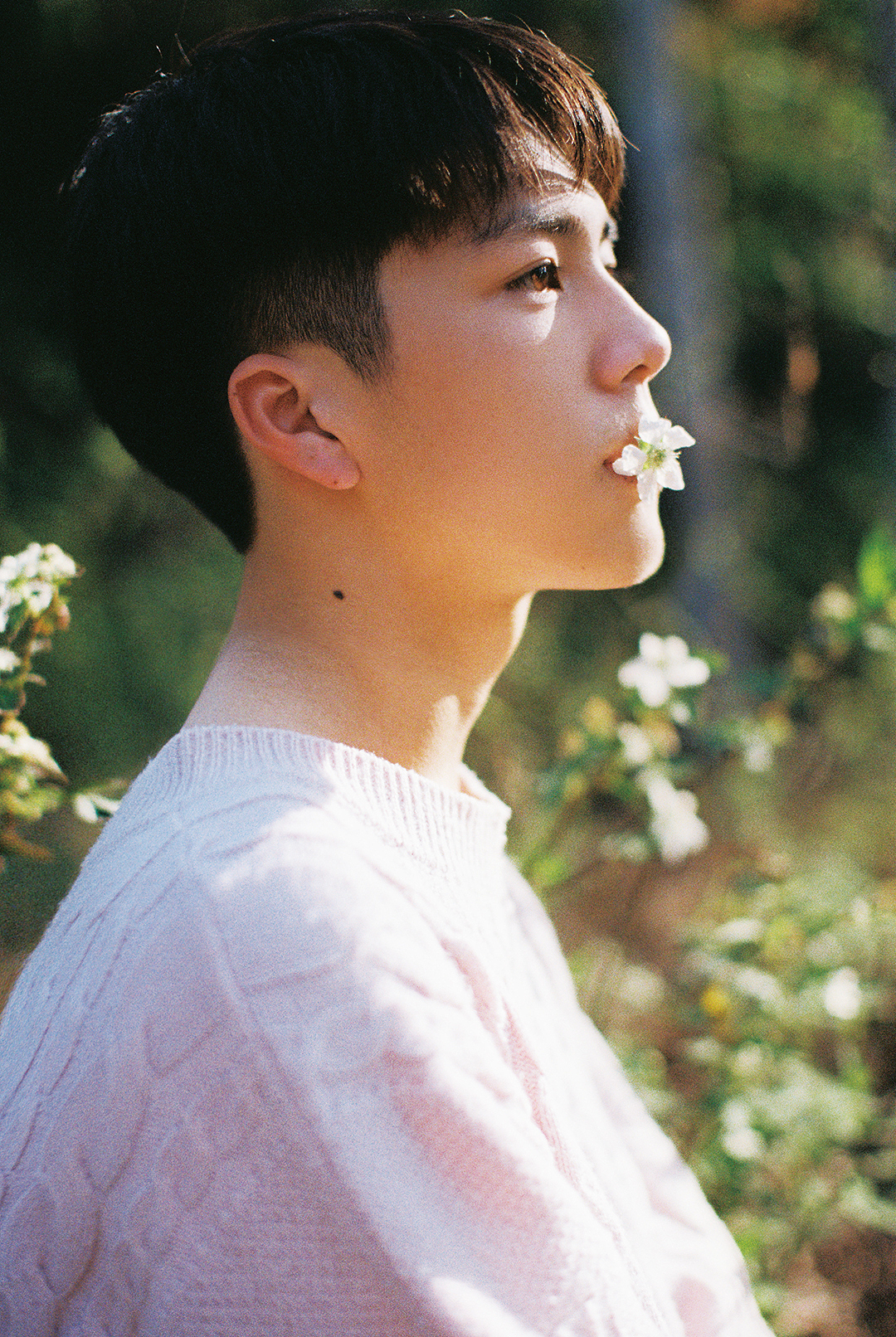 【误入森溪】_暖暖vk-站酷zcool