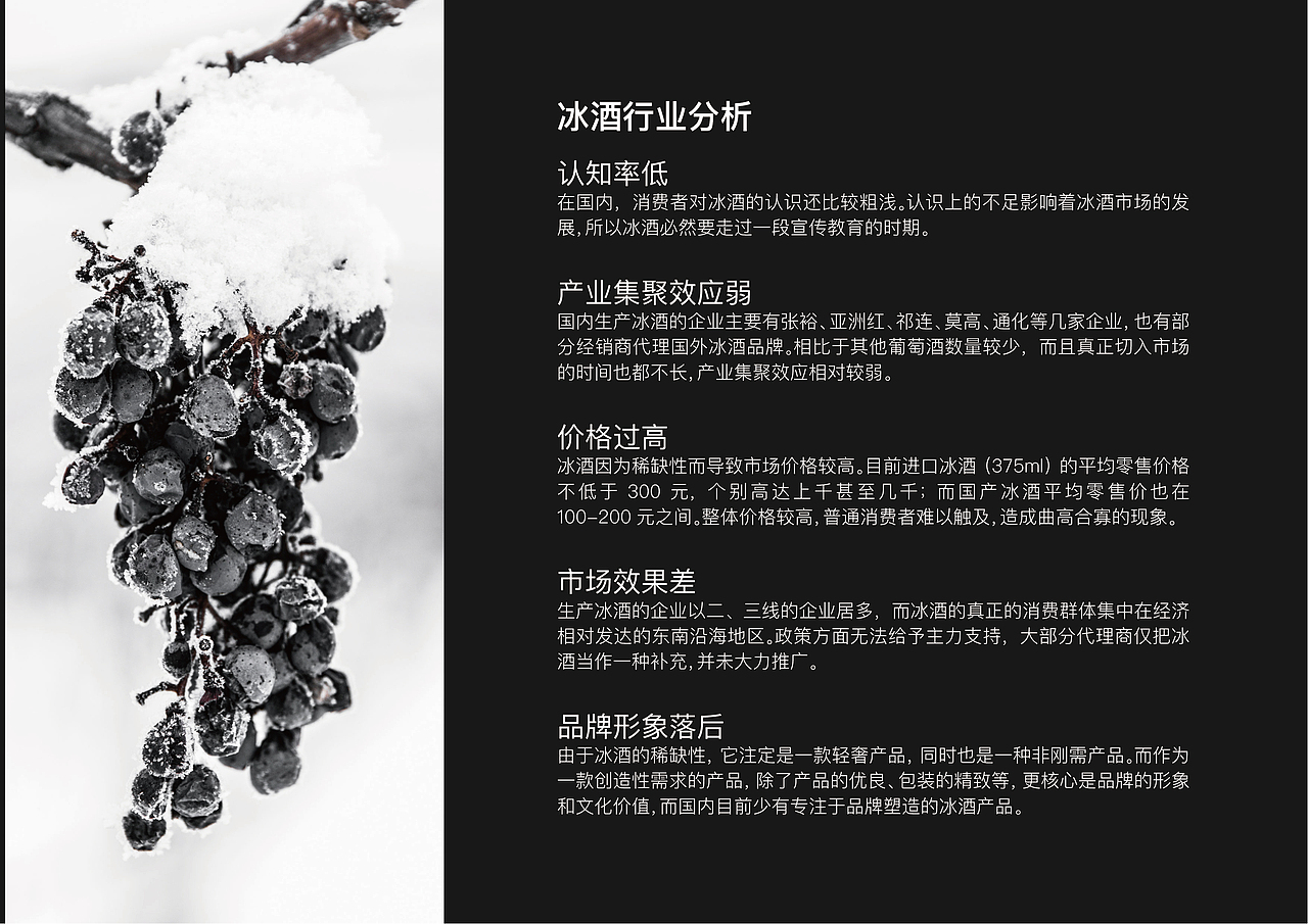 45度冰酒品牌全案