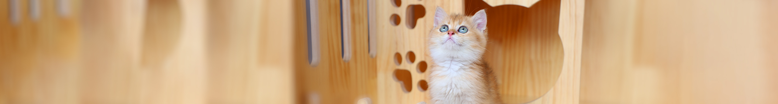 烟花易冷94的个人主页（封面预览） - 主页封面设置 - 站酷设计师烟花易冷94原创素材 - 站酷ZCOOL