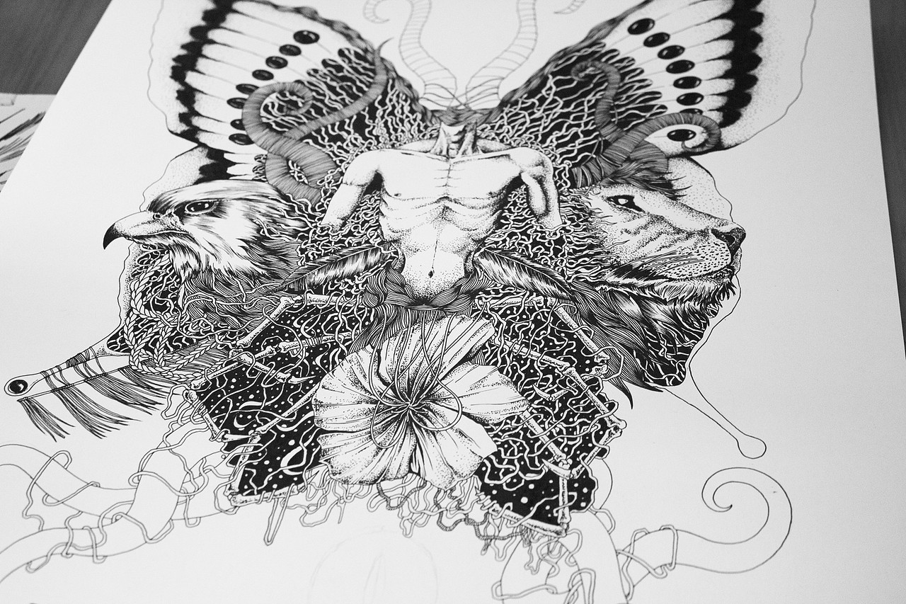 生命与情绪交织的乐章