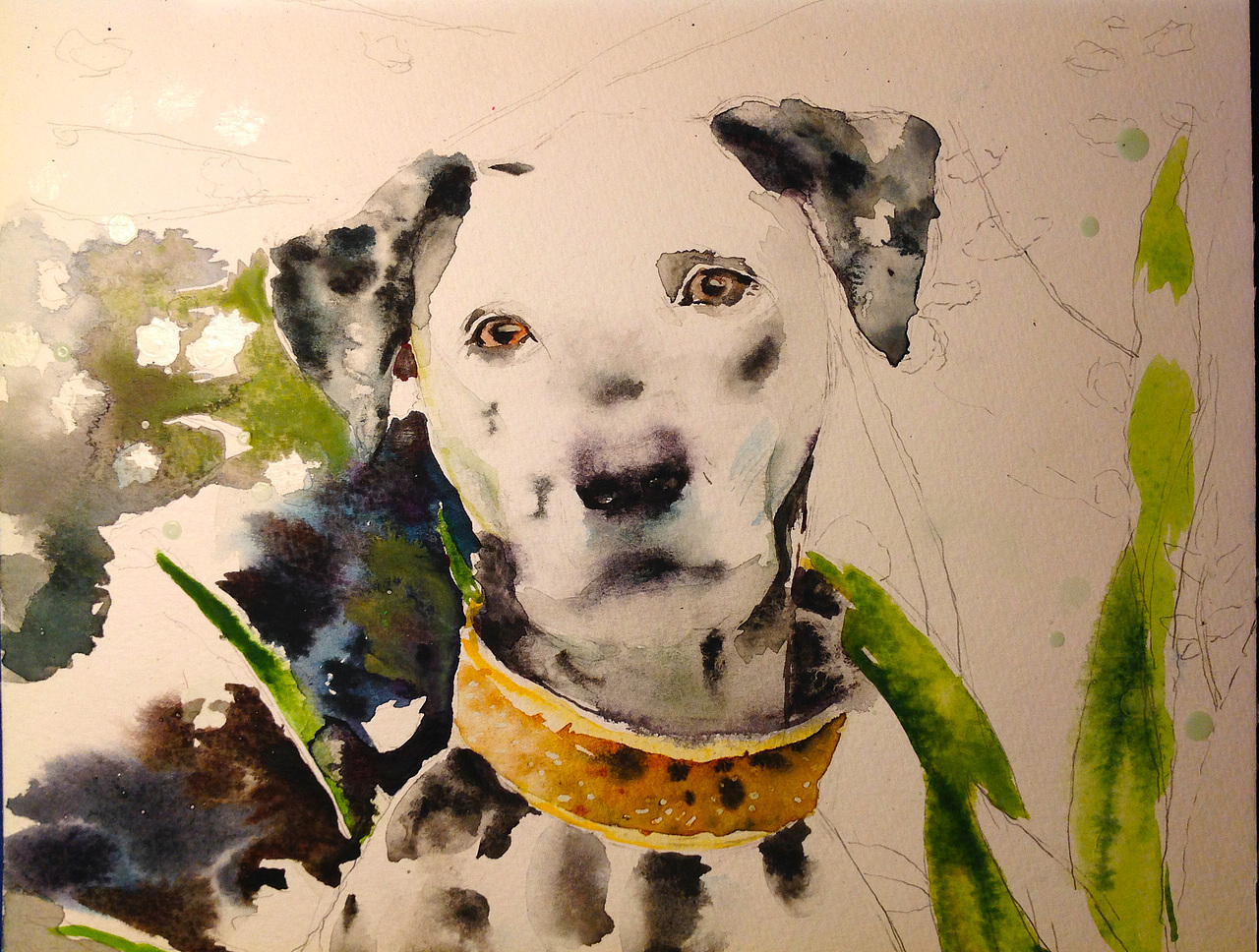 水彩画斑点狗