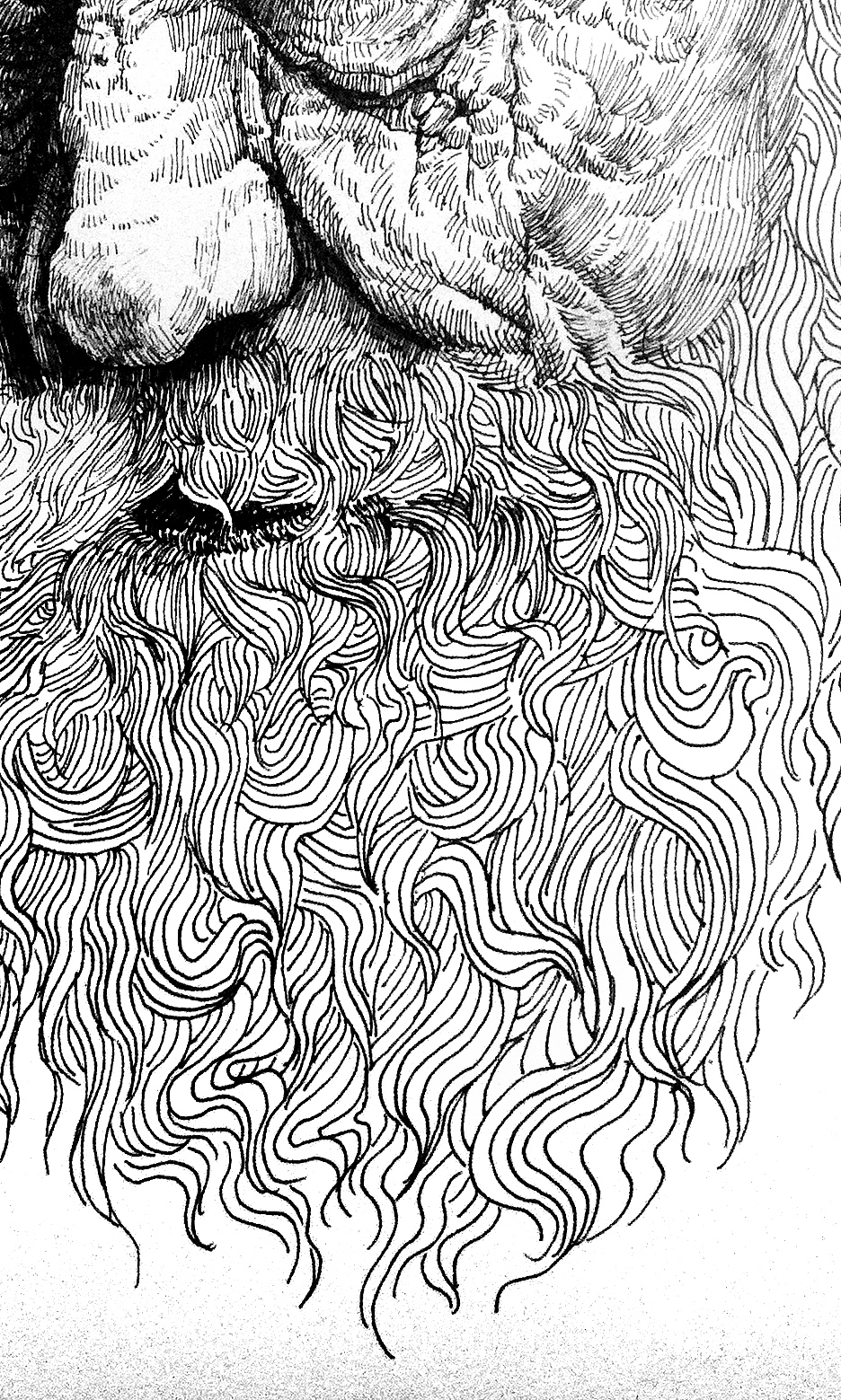 钢笔画 炭笔画（图ZMTgwNjkxMDg=） - 绘画 - 站酷设计师付浩原创素材 - 站酷ZCOOL