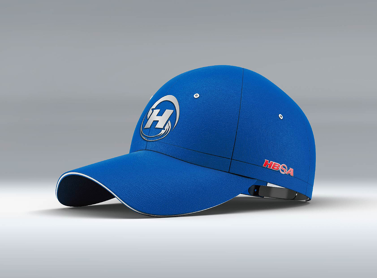 成都市高新区棒垒球协会VI