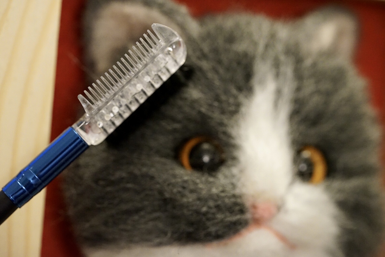 羊毛毡植毛蓝白英短