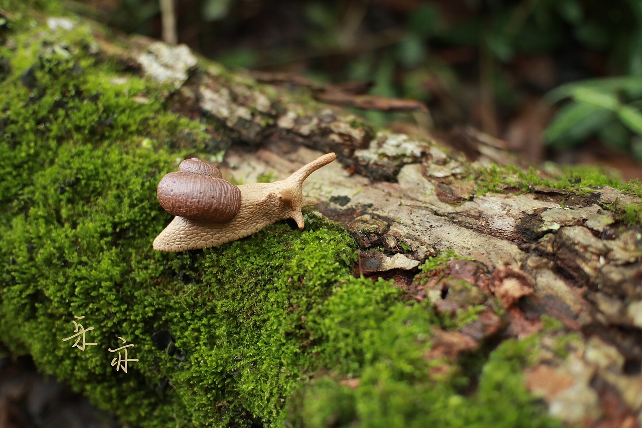 [z加油]（圖ZMTIxMzMzMDY4） - 其他手工藝 - 站酷設(shè)計(jì)師樂亦123原創(chuàng)素材 - 站酷ZCOOL