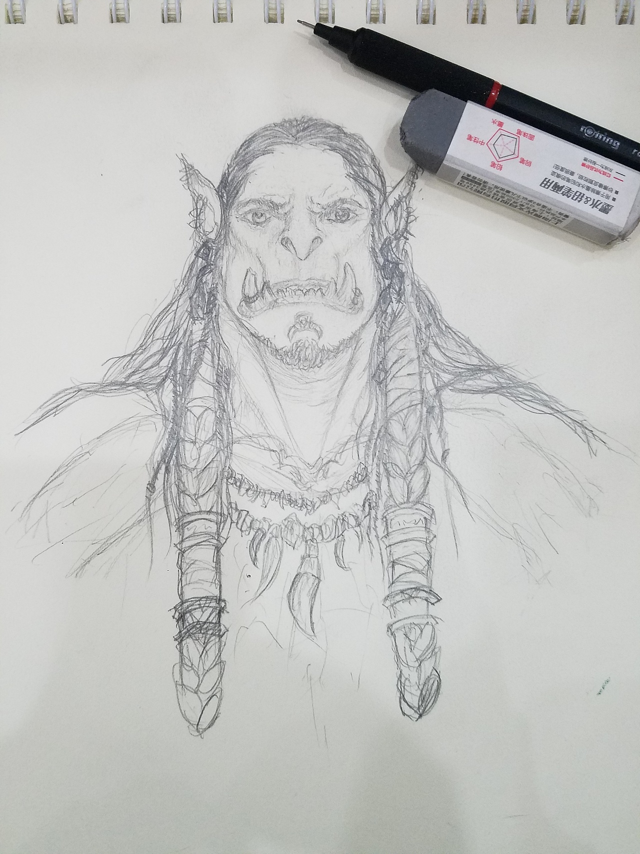   魔兽世界 霜狼杜隆坦