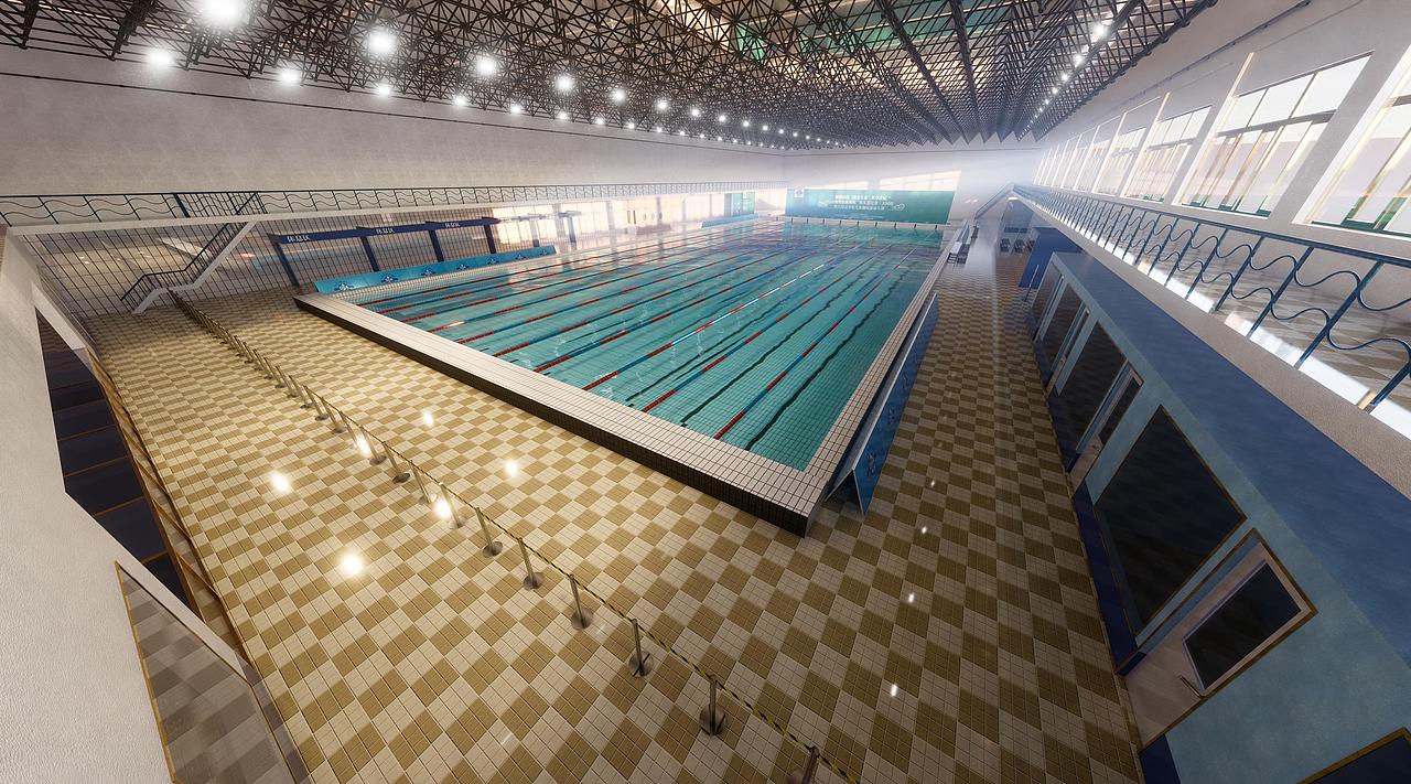 关于游泳的活动