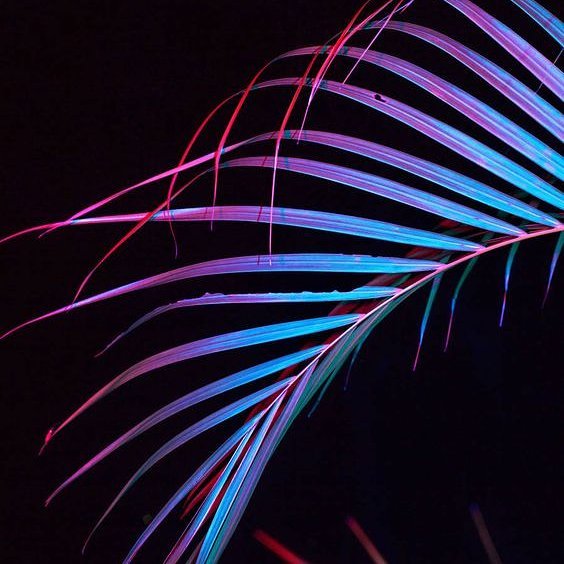 尼克张_的个人主页（背景预览） - 主页背景设置 - 站酷设计师尼克张_原创素材 - 站酷ZCOOL