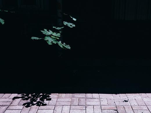 《夏·巷子》 
