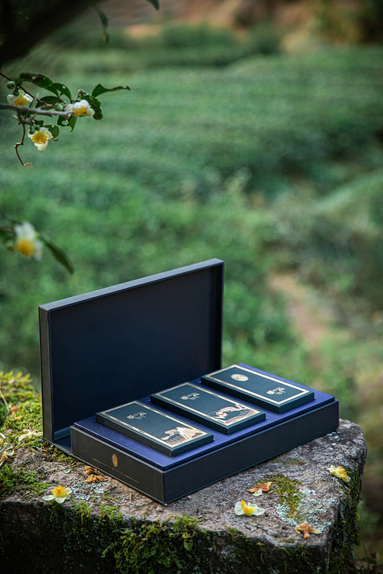 茶叶产品礼盒户外拍摄|摄影|产品摄影|听说你也来过 - 原创作品