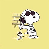 春尚的头像