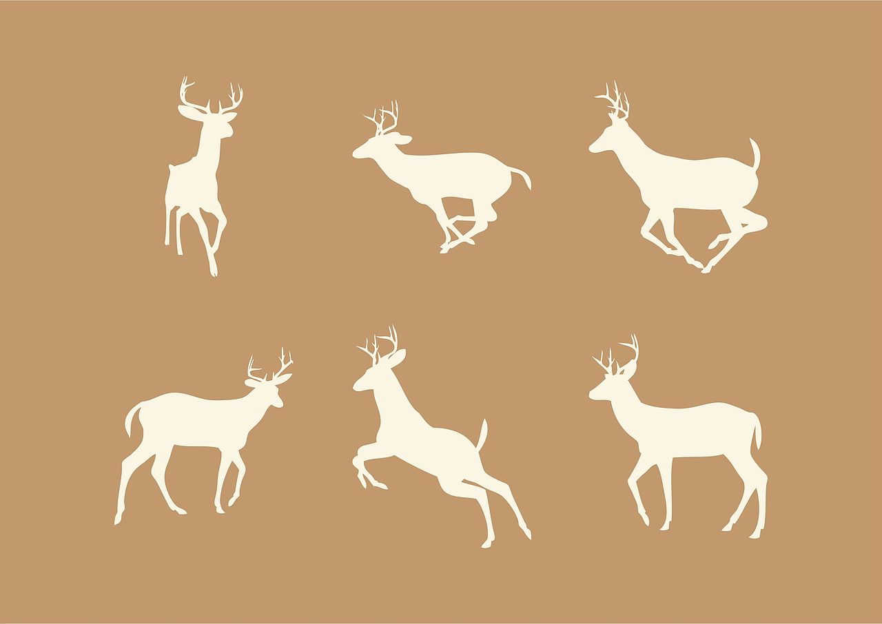 美鹿票务（图ZMTM1ODU3NDMy） - Logo - 站酷设计师倩影男原创素材 - 站酷ZCOOL