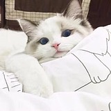 LIUSXIAN的头像