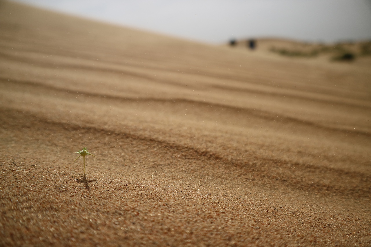 沙漠之旅（图ZMTAxMDY0MDg0） - 风光摄影 - 站酷设计师阿伟OVO原创素材 - 站酷ZCOOL