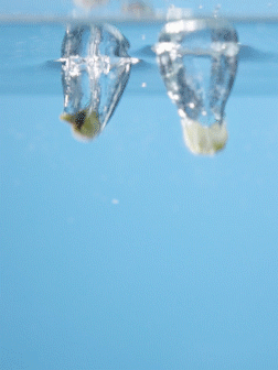 蘇泊爾隨行杯（圖ZMjE3Nzg1MjA4） - 短片 - 站酷設(shè)計(jì)師支點(diǎn)視覺(jué)原創(chuàng)素材 - 站酷ZCOOL