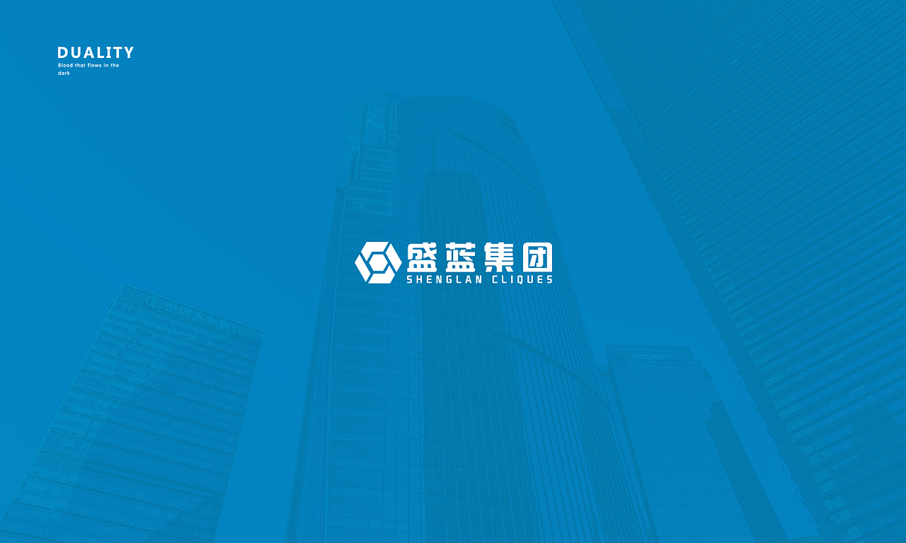 2020年度合集（图ZMjQwNzI0OTMy） - Logo - 站酷设计师盛际兰DESIGN原创素材 - 站酷ZCOOL
