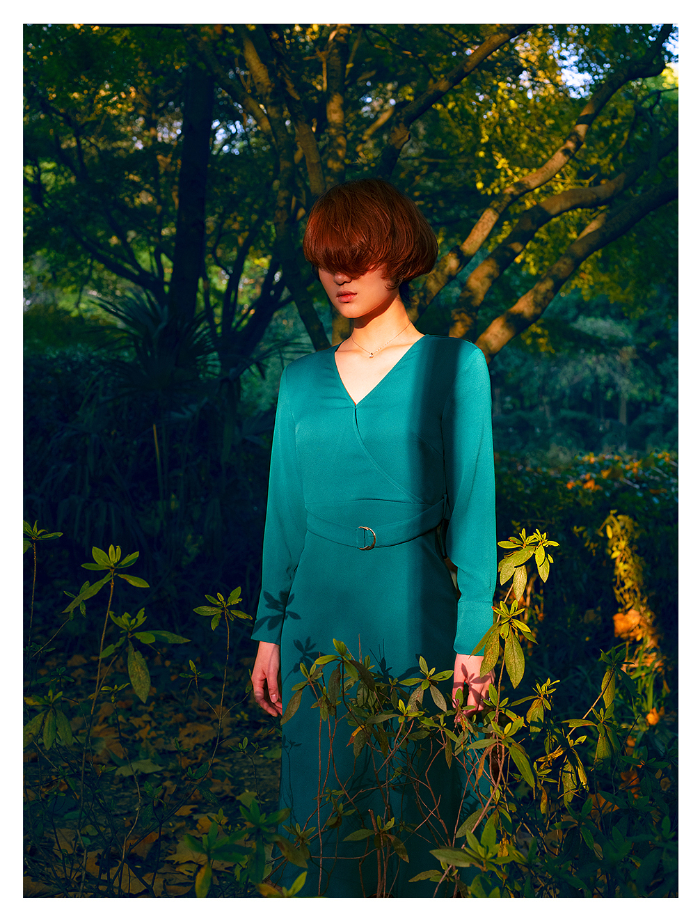 秋天的一组照片