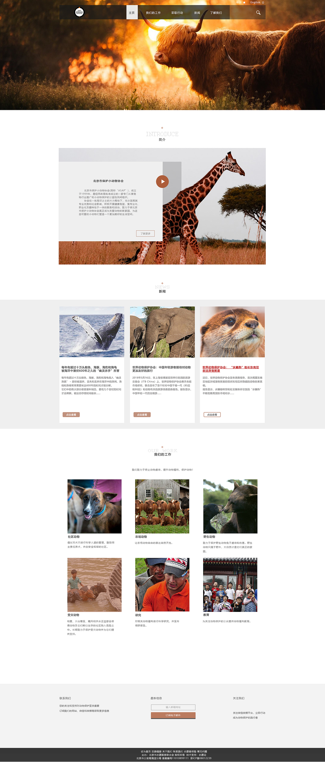 企业官网（图ZMTc5NzA5ODg4） - 企业官网 - 站酷设计师宁青原创素材 - 站酷ZCOOL