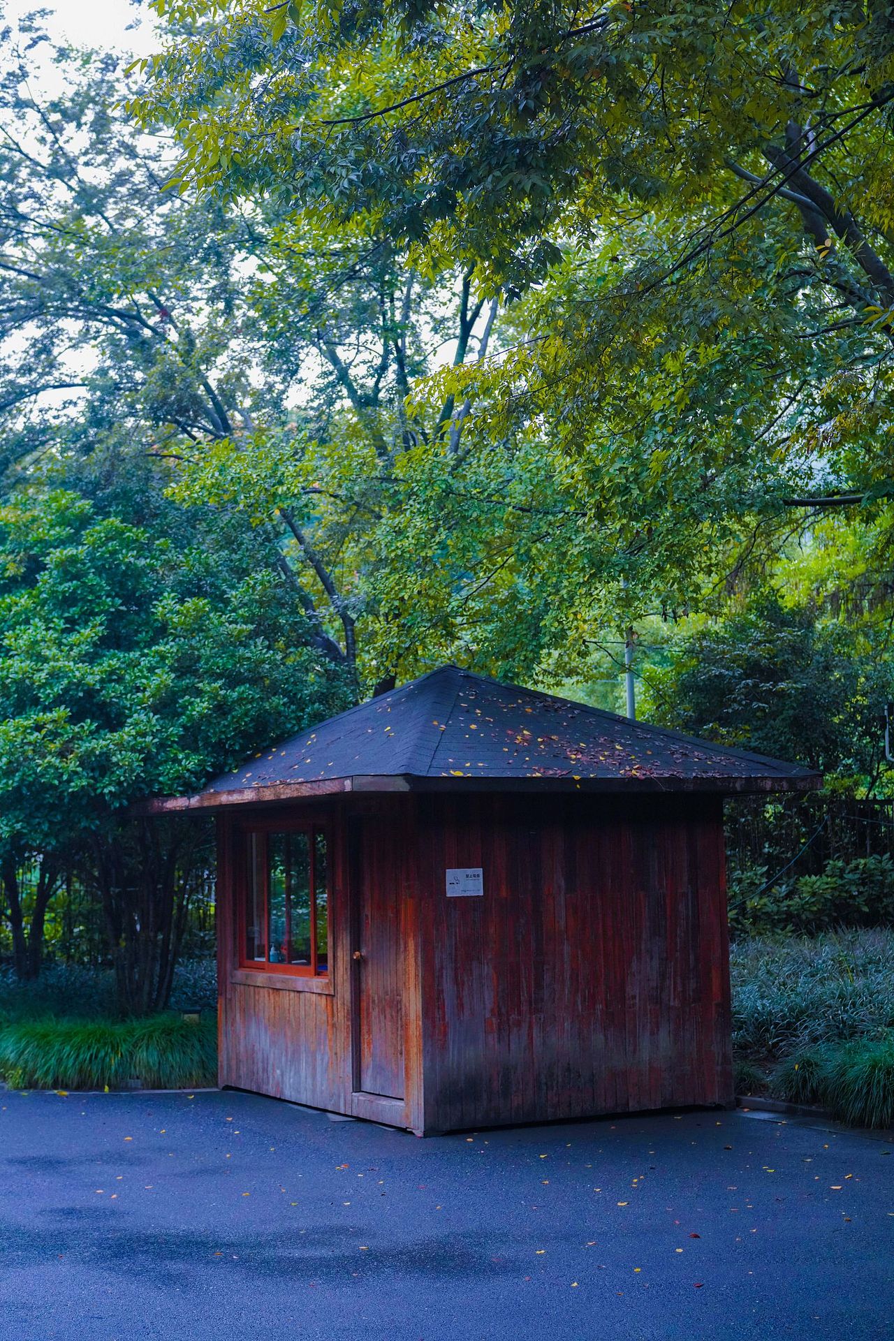 一些绿色🌳（图ZMzUxNzE1NDA4） - 风光摄影 - 站酷设计师寒塘Y原创素材 - 站酷ZCOOL