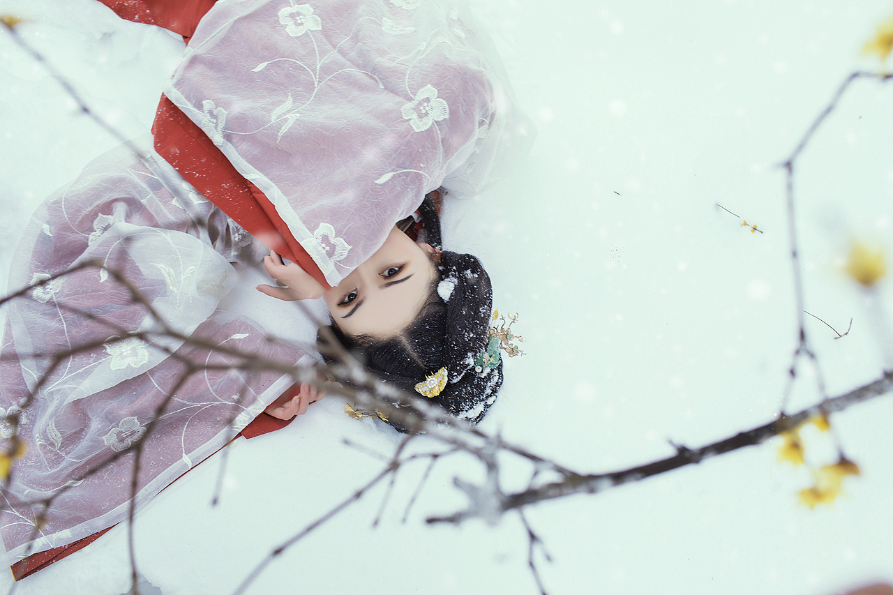 雪中腊梅配一美人