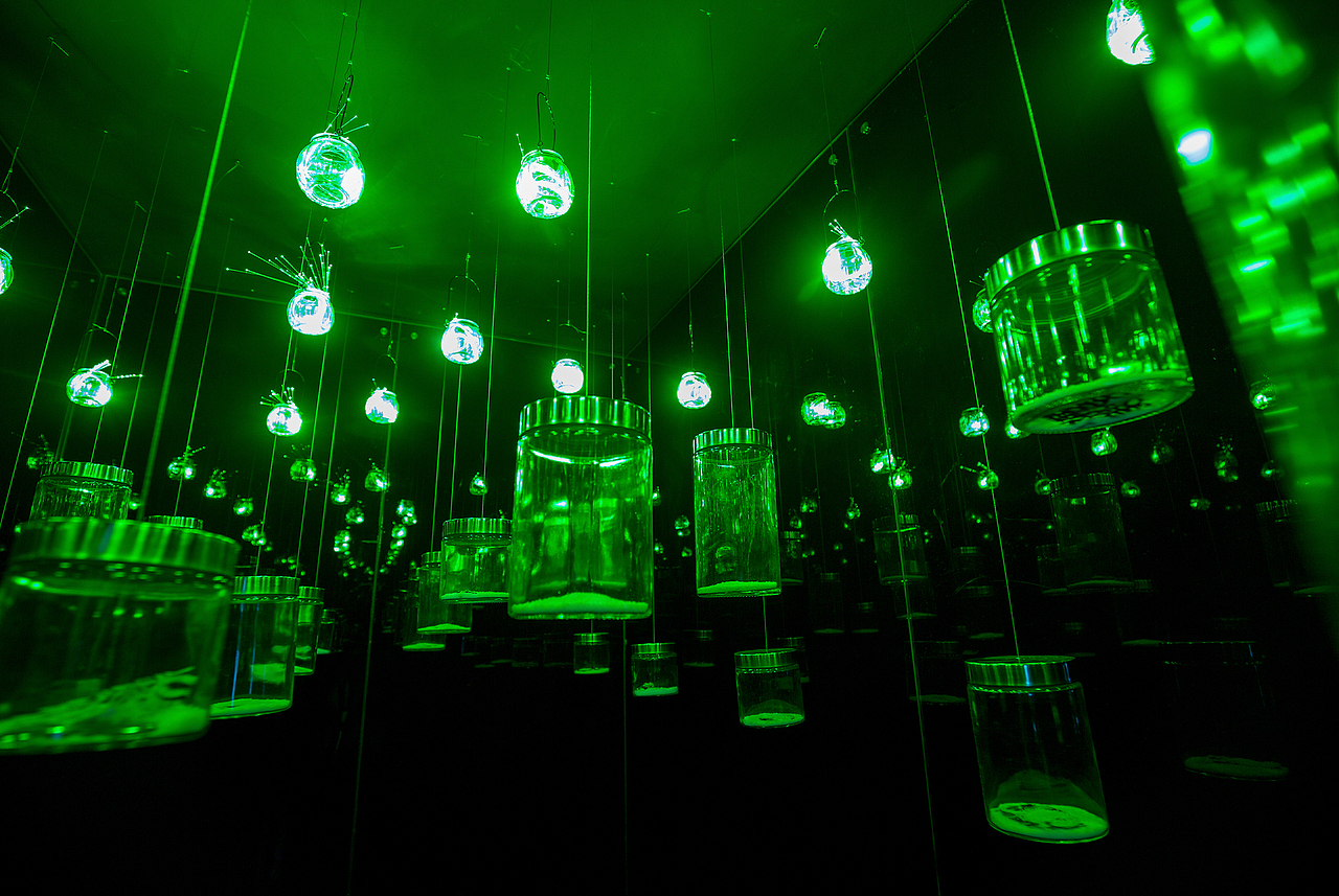 萤火虫下的剪纸展 北京站（图ZMTA0MzcyMTMy） - 其他手工艺 - 站酷设计师不是美术馆原创素材 - 站酷ZCOOL