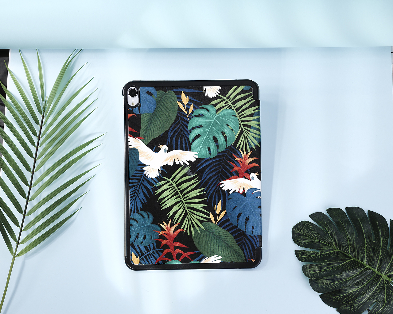 热带雨林壳（图ZMTUzMjEyMDUy） - 产品摄影 - 站酷设计师彳墨原创素材 - 站酷ZCOOL