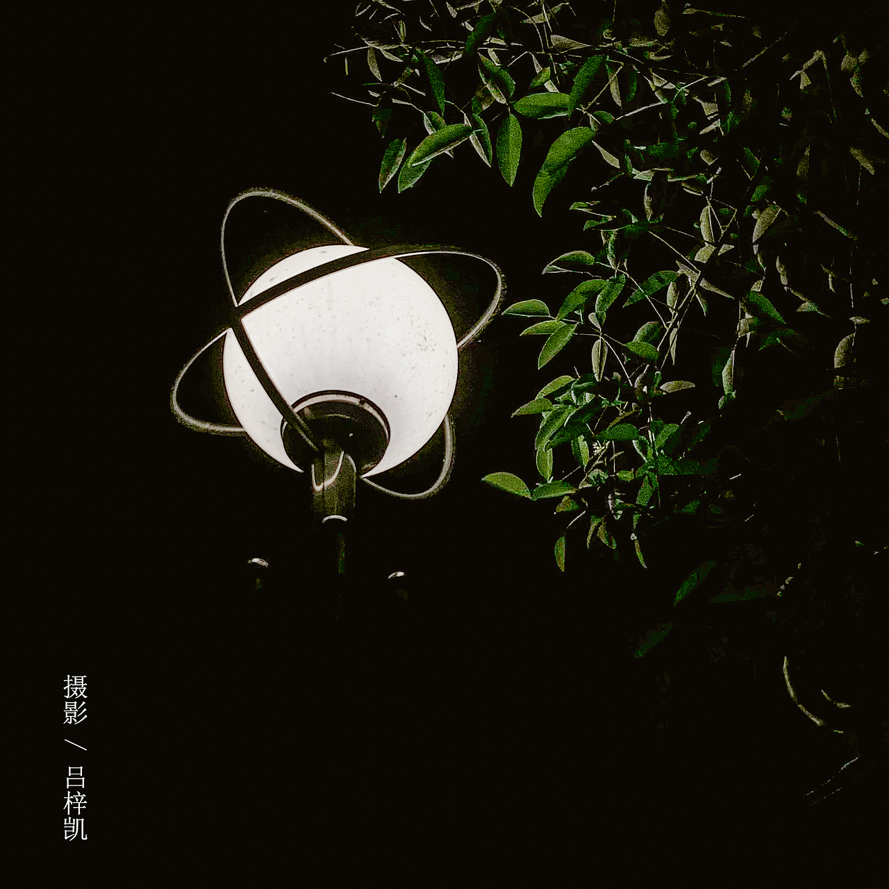 绿意（图ZMzAxMTg3NTE2） - 风光摄影 - 站酷设计师潮州城郊猕猴桃原创素材 - 站酷ZCOOL