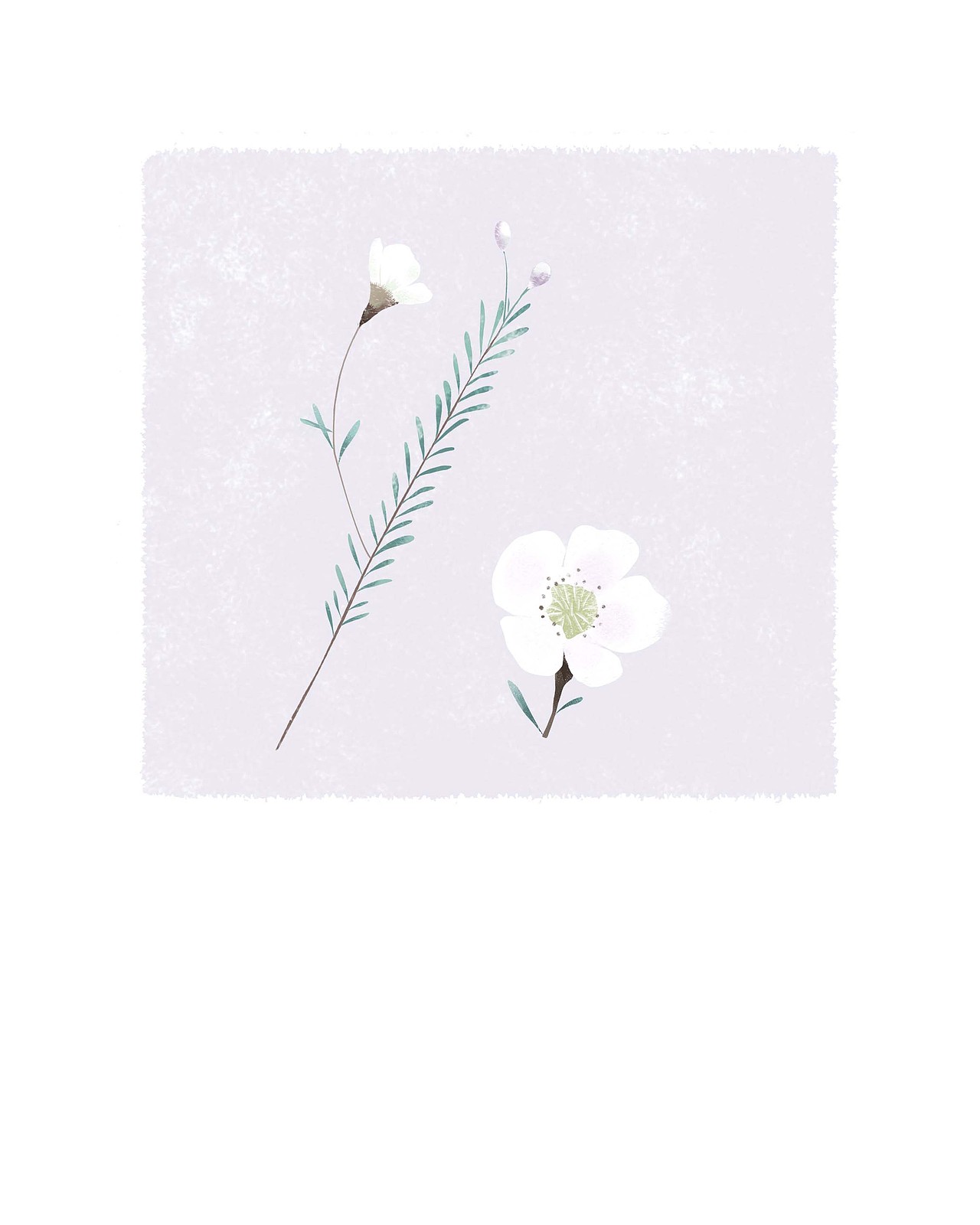 小花花～～～（图ZMTAzMjMzMjQ0） - 创作习作 - 站酷设计师Tsuyu鱼猫原创素材 - 站酷ZCOOL