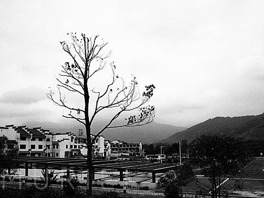 求尚（个人主页-ZMzE5OTc4Njg=） - 人文/纪实摄影 - 站酷设计师辛德瑞拉的诡计原创素材 - 站酷ZCOOL