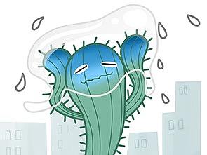 hobee的仙人掌日記（個(gè)人主頁(yè)-ZNDQyMjg1NjQ=） - 創(chuàng)作習(xí)作 - 站酷設(shè)計(jì)師hobehong原創(chuàng)素材 - 站酷ZCOOL