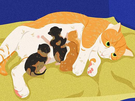 貓咪插畫設計（個人主頁-ZNDI5NjI0NjQ=） - 藝術插畫 - 站酷設計師走走豆皮原創(chuàng)素材 - 站酷ZCOOL