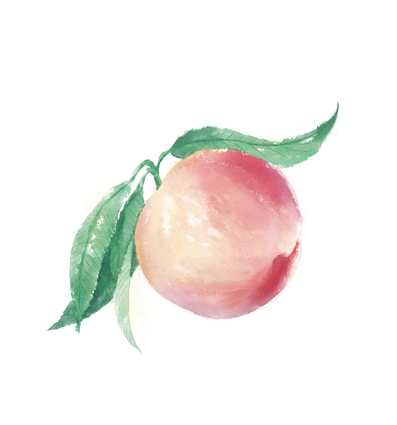 桃子 临摹|插画|艺术插画|艾叶粄_临摹作品-站酷zcool