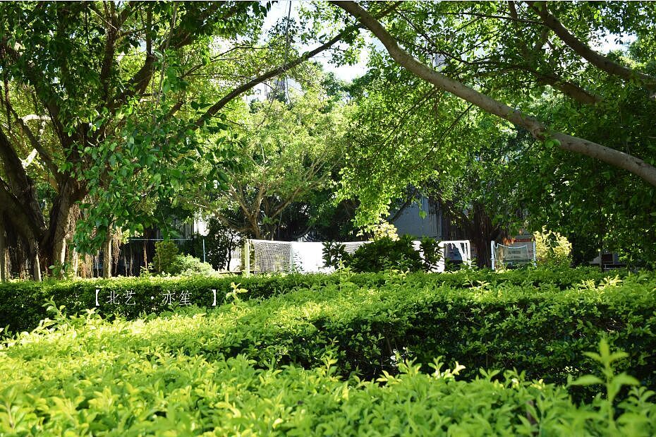 光和影（图ZMzI3NjY3MDg=） - 风光摄影 - 站酷设计师亦笙olol原创素材 - 站酷ZCOOL