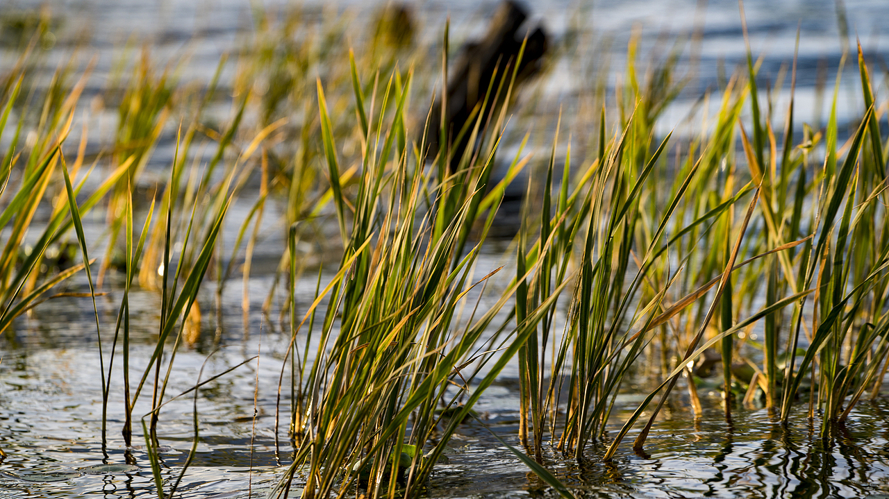 大理海舌公园（图ZMzY5MjgyODg=） - 风光摄影 - 站酷设计师明原创素材 - 站酷ZCOOL