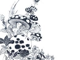 只有蘑菇没有小姑娘