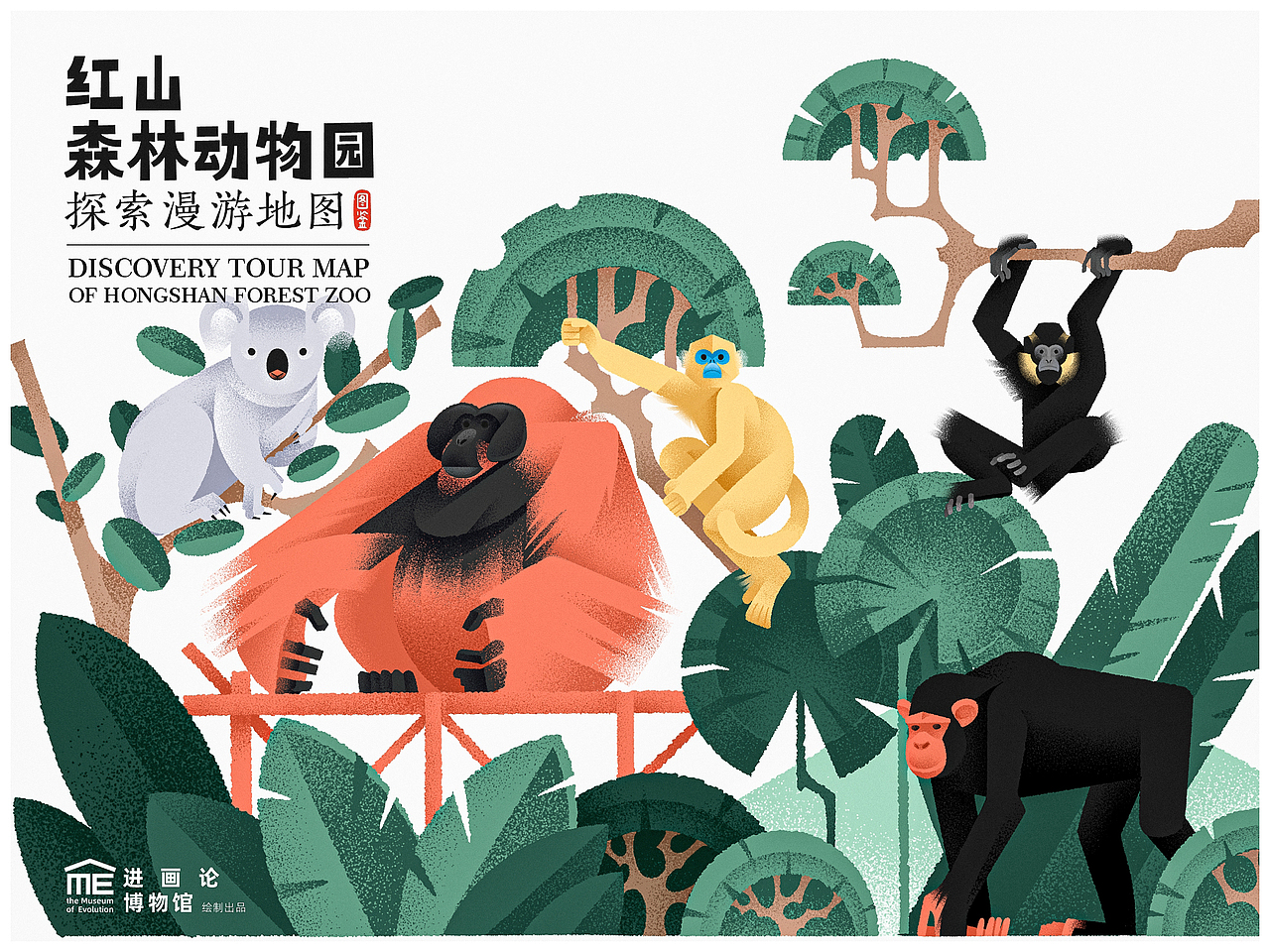 走, 去逛动物园|红山森林动物园漫游地图