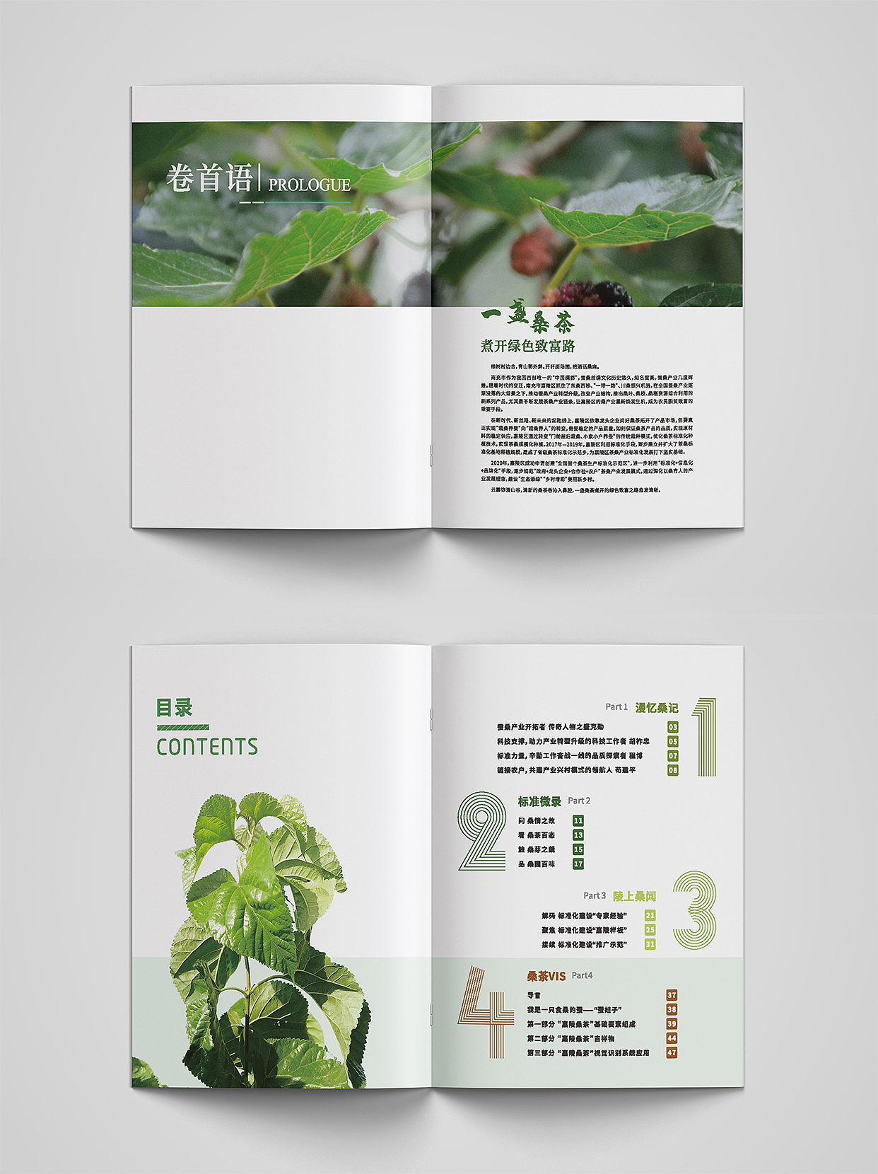 画册设计 惟桑·第4期（图ZMzU3OTY3NTAw） - 书籍/画册 - 站酷设计师不救l原创素材 - 站酷ZCOOL