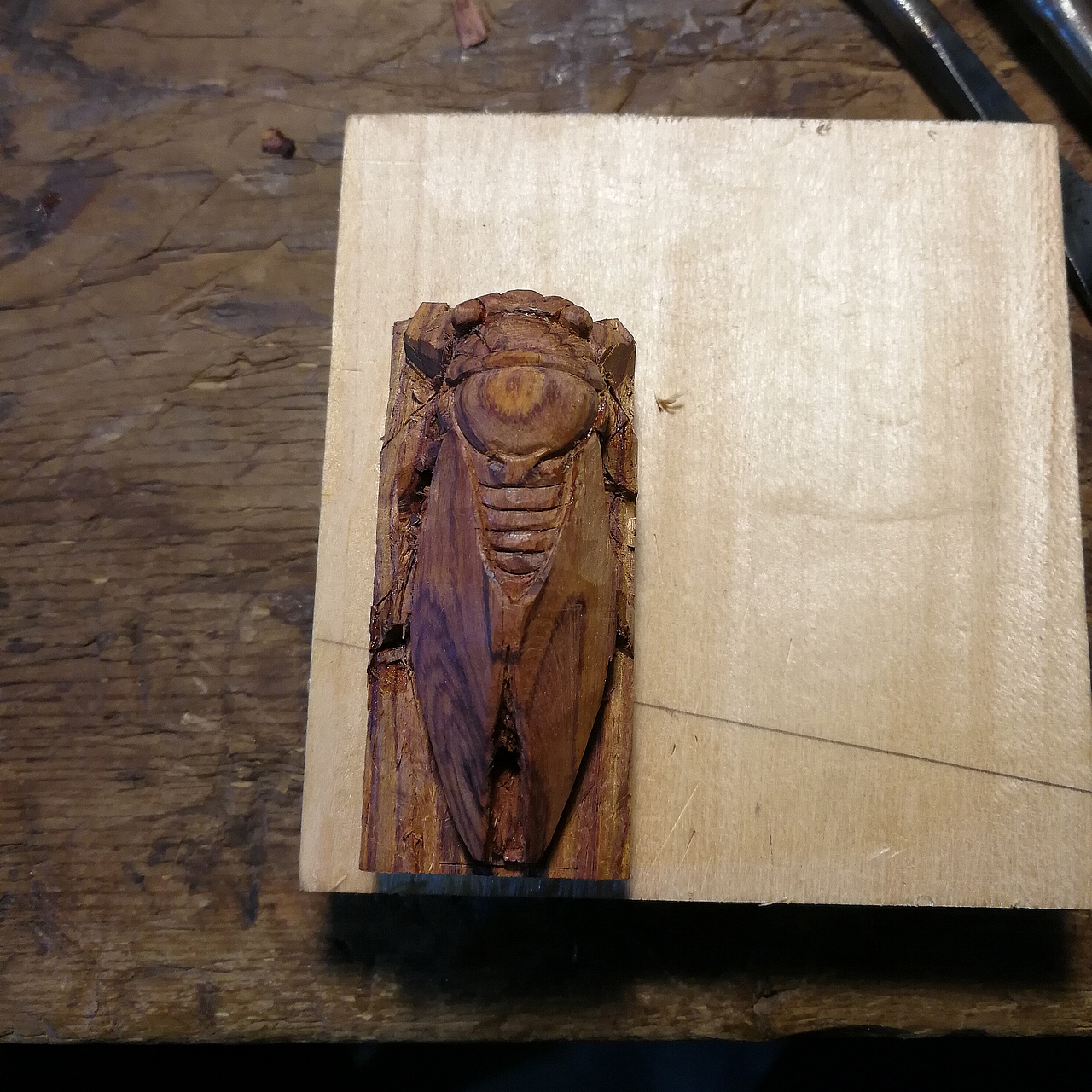 一只夏天--“知石”（圖ZODY5Mzc1NTY=） - 其他手工藝 - 站酷設計師LU_大俠原創(chuàng)素材 - 站酷ZCOOL