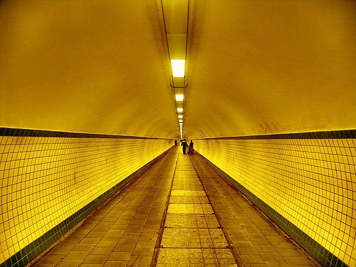 照片会显得更立体尝试用广角和鱼眼镜头拍摄,体验更夸张的透视变化end