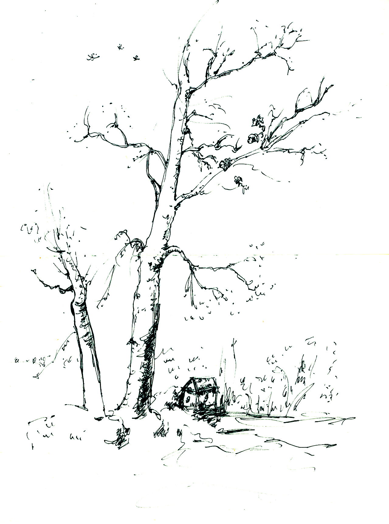 风景插画（图ZODg0MzQ5MDQ=） - 创作习作 - 站酷设计师MUYI一木易插画原创素材 - 站酷ZCOOL