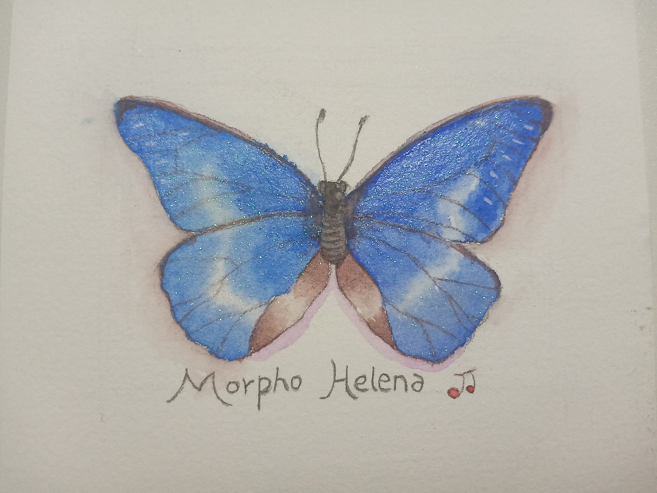 最近画的水彩花蝴蝶